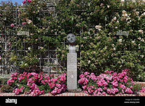 dior rose garden|Dior garden granville france.